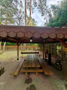 Leśna Ostoja w centrum Puszczy Nadnoteckiej otoczona 3 jeziorami