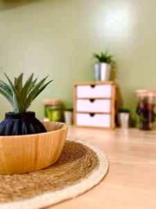 Appartements Studio cosy proche hyper centre et gare : photos des chambres