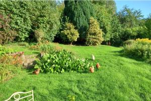 Cosy Axminster Studio with Extra Beds