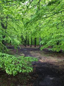 Cozy Cabin in Skäralid Close to Pool and Lake