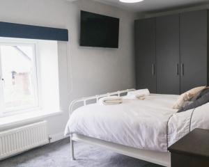 The Red Lion Llangynidr