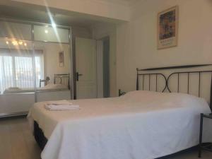 Red, sea view central flat