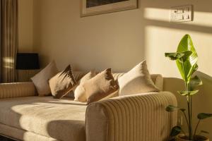 Premium Stay with Stunning Views