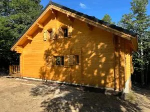Chalet 15 personne en forêt avec Netflix and Canal - 梅吕埃