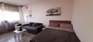 Apartman Dostojevski - Senjak (historical)