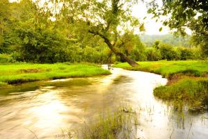 Meriyanda Nature Lodge - Coorg
