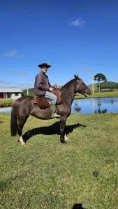 Pousada Recanto da Natureza - 邦雅尔丁-达塞拉