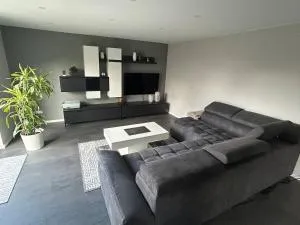 Beautiful house apartment K for rent -Private entrance - Ringheim