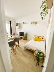 Anguille Home Delightful Suite in Fiumicino