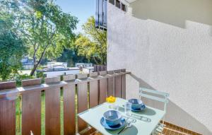 Pet Friendly Apartment