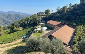 Stunning Home In Dolceacqua With Swimming Pool - Apricale