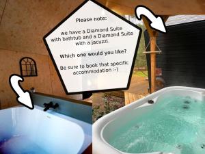 Diamond Suite in the woods