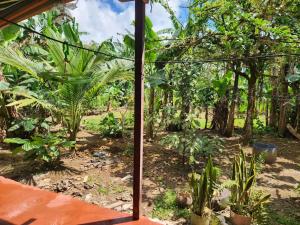 Casa de campo Bijagua