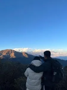 Honey nest - Pelling