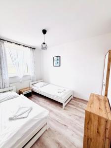 Apartament Salton