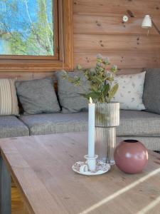 Fjordview Family Cabin