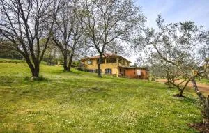 Nice Apartment In Monterosi With Wifi - Anguillara Sabazia