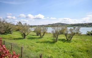 Nice Apartment In Monterosi With Wifi