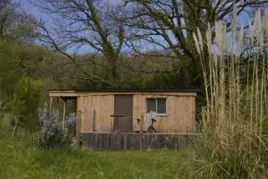 Roulotte - 索格雷尼