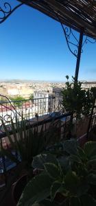 Riad zineb