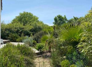 Au cœur de Trégastel, noyée dans la végétation