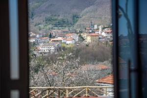 Appartamenti Aria di Verde