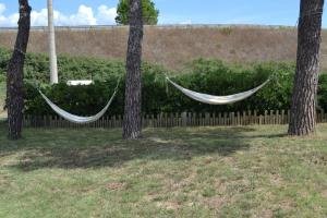 Casa di Tea località franciana 14 piombino livorno