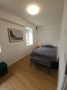 Schönes Apartment mit Gartenzugang - 温特林根