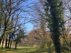 Blue Horizons Farm - 马尔凯