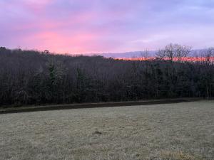 Maisons de vacances Blue Horizons Farm : photos des chambres