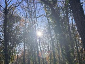 Maisons de vacances Blue Horizons Farm : photos des chambres