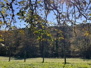 Maisons de vacances Blue Horizons Farm : photos des chambres