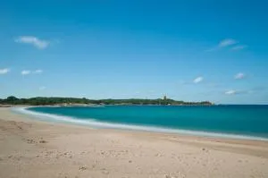 Rustico Gallurese - 阿列恩图