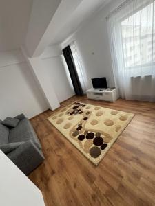 Campus Apartment Oasis