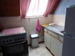 Appartements Rentz Martine : photos des chambres