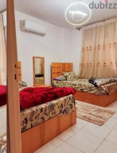 شقه مفروش فرش فندقي مدينتي