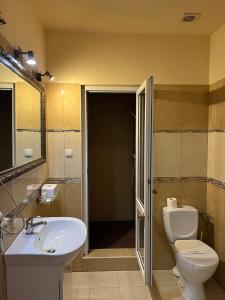 One-Bedroom Premium Apartment room in Hotel Venecia Palace
