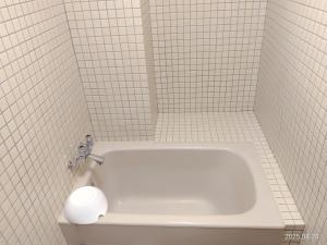 Yamanaka Onsen Hanatsubaki