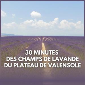 Villas Maison de charme - Jardin - Parking - Proche CEA Cadarache - ITER : photos des chambres