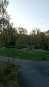 Mellanen wonen - 阿默斯福特