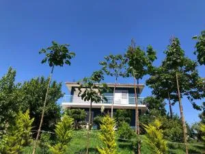 Blue Vila - Xherëzotaj