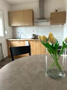 Apartments with a parking space Ogulin, Gorski kotar - 23727