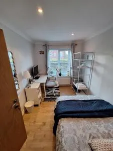 Cosy Gated Room with Free Secure Parking Private Bathroom - 吉尔福德