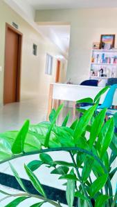 Perola dos lençóis