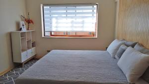 Espléndido departamento centro Temuco