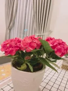 NHẤT Ý Villa - Trai Mat