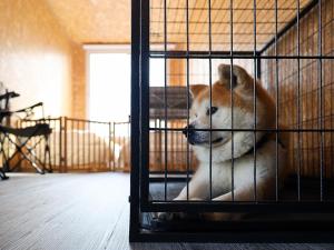 ＳＡＫＡＴＡＮＴＯ Ｃｏｎｔａｉｎｅｒ Ｈｏｔｅｌ ＣＡＭＰＳ - Vacation STAY 31777v