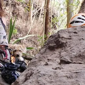 Hostel For Machetà Climbers Colombia - Machetá