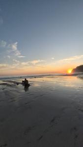 Bus hotel Playa Barrigona, entre Sàmara y Nosara
