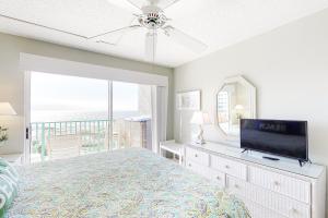 Plantation Palms #6710